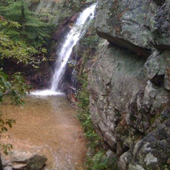 Meet your Posher, Matt - Picture 1 of 1